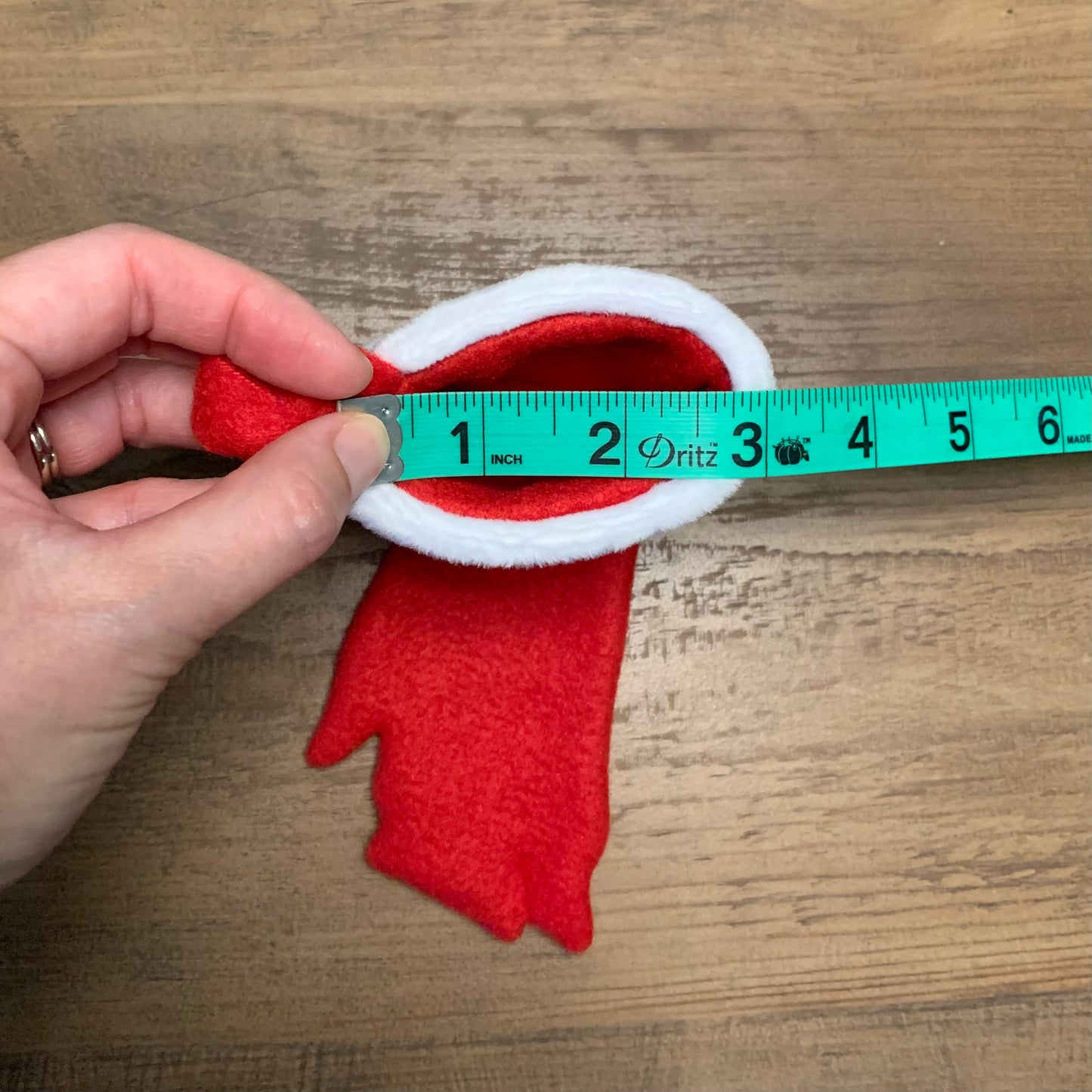 Pig foot shaped Christmas stocking, mini pig, pot bellied pig