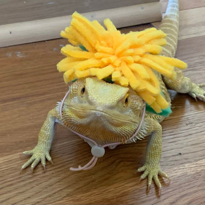Small animal Hat, Bearded Dragon Hat, Flower Hat, The Dandy Hat