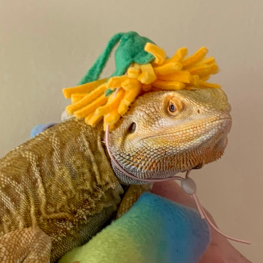 Small animal Hat, Bearded Dragon Hat, Flower Hat, The Dandy Hat