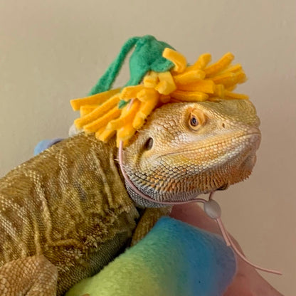 Small animal Hat, Bearded Dragon Hat, Flower Hat, The Dandy Hat