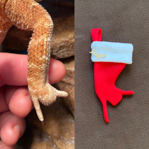 TINY Bearded Dragon, Toad Headed Agama, Anole Christmas Stocking Ornament