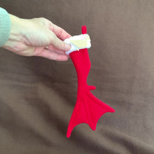 Load and play video in Gallery viewer, TINY Duck, Goose Foot Christmas Stocking
