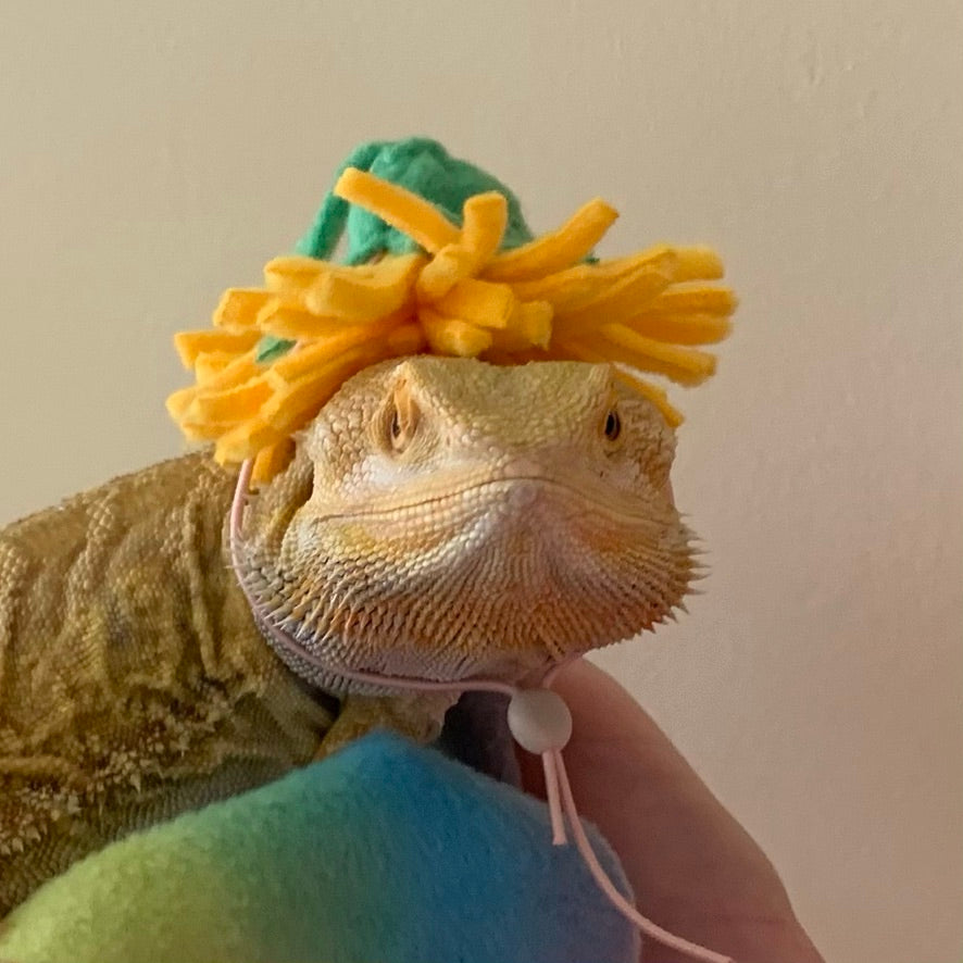 Small animal Hat, Bearded Dragon Hat, Flower Hat, The Dandy Hat