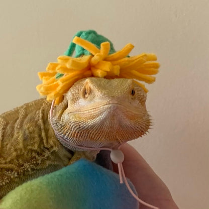 Small animal Hat, Bearded Dragon Hat, Flower Hat, The Dandy Hat