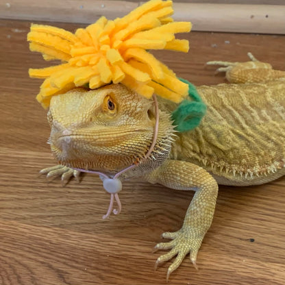 Small animal Hat, Bearded Dragon Hat, Flower Hat, The Dandy Hat