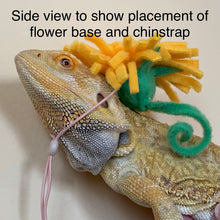 Load image into Gallery viewer, Small animal Hat, Bearded Dragon Hat, Flower Hat, The Dandy Hat
