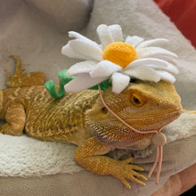 Load image into Gallery viewer, Small animal Hat, Bearded Dragon Hat, Flower Hat, The Daisy Hat
